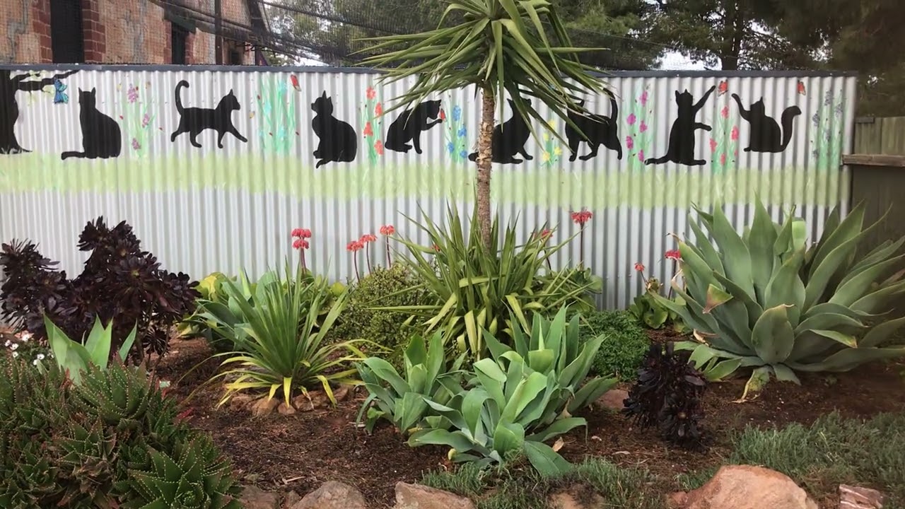 Front Garden. September 15th, 2021.