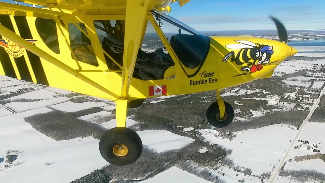 Ever see a bumblebee that flies in the winter!?