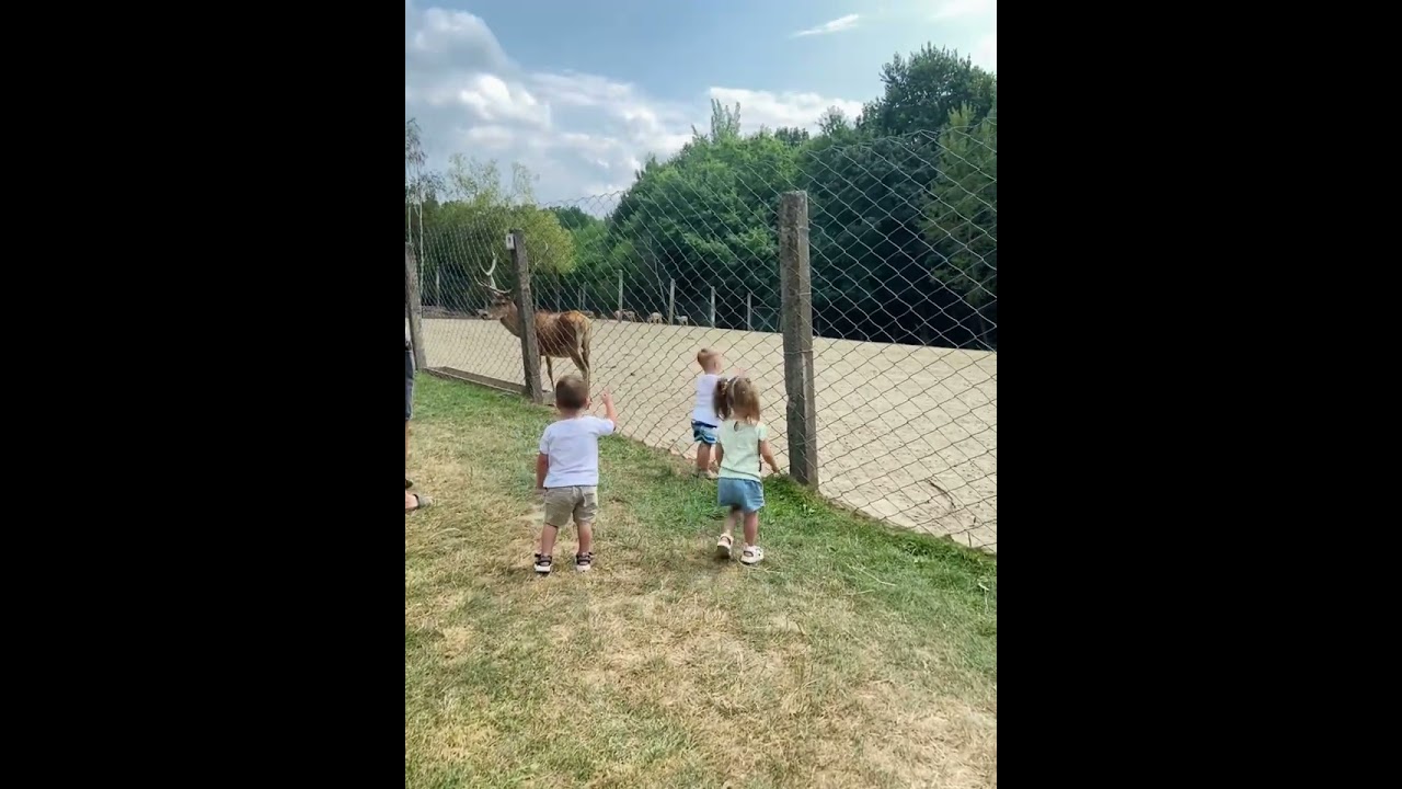 Zoo park