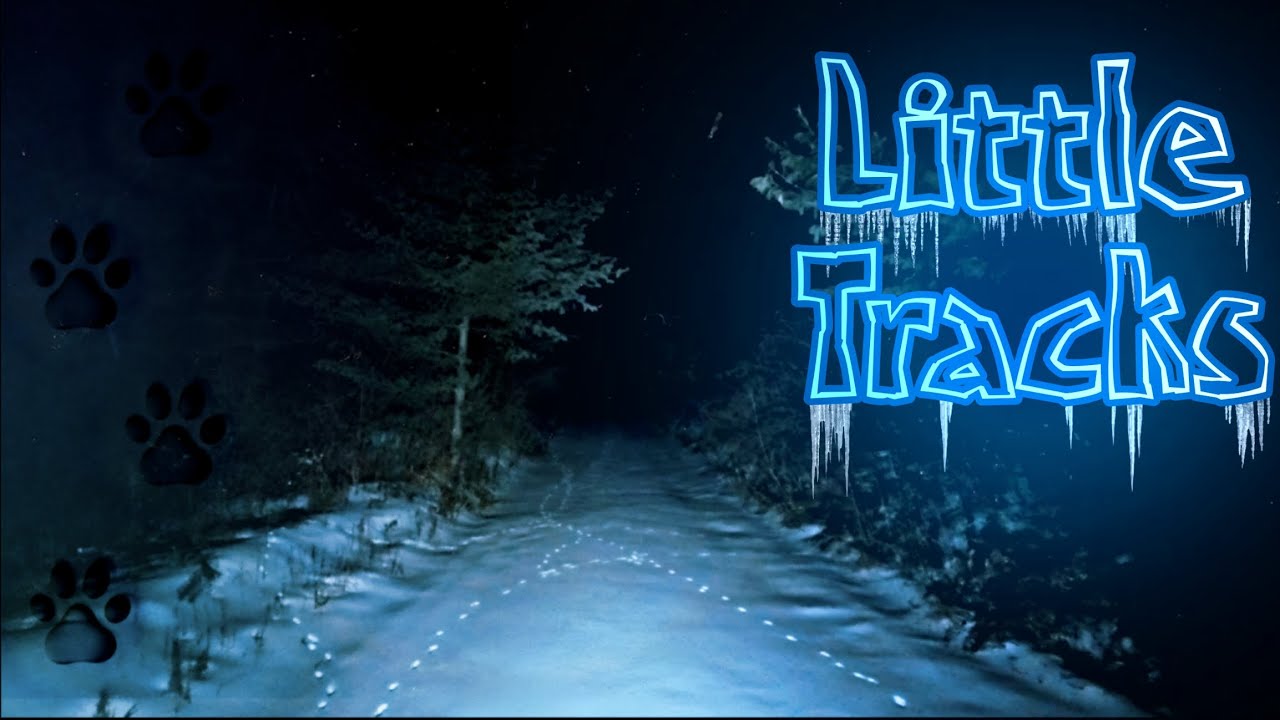 Among the Pines | Little Tracks [Winter Night Forest Hike, Ontario]