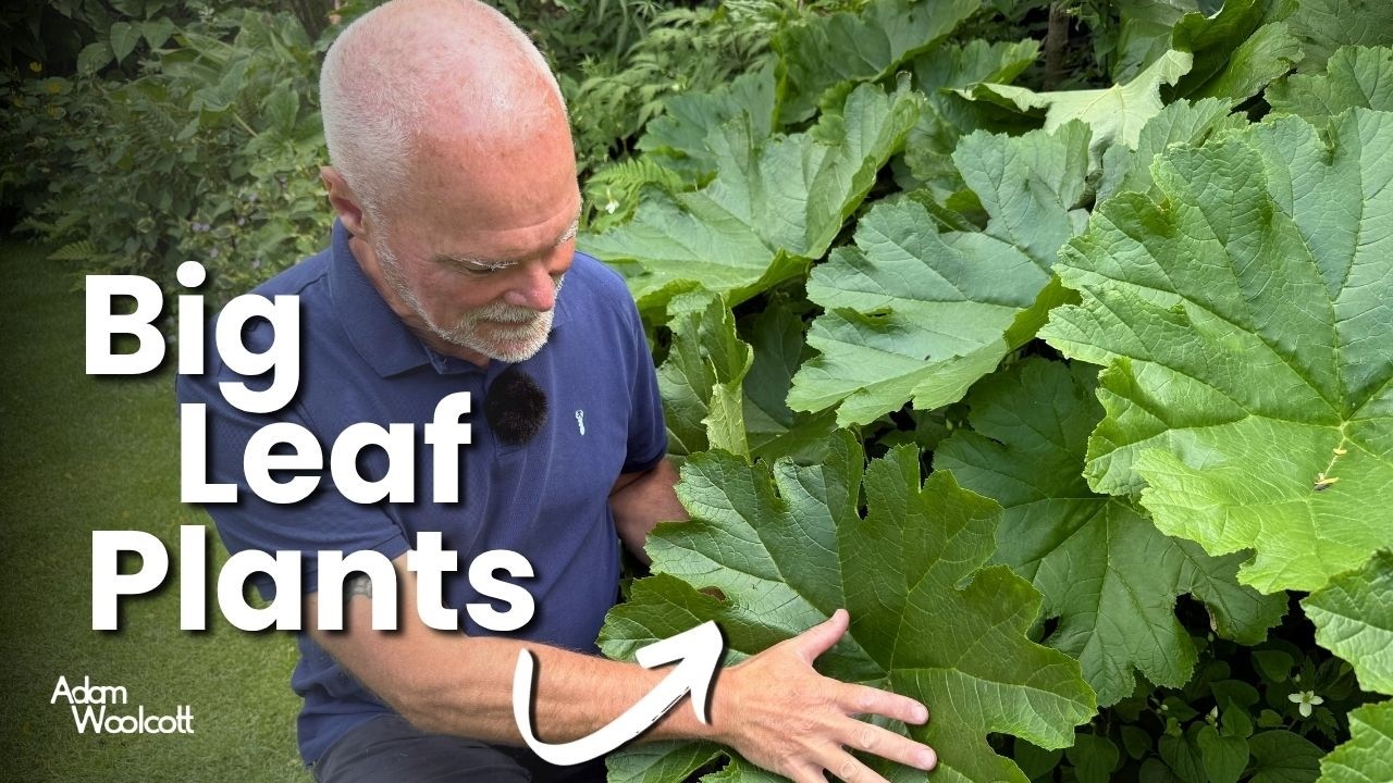 Elevate Your Garden: The Power of Big Leaves (11 Picks!)