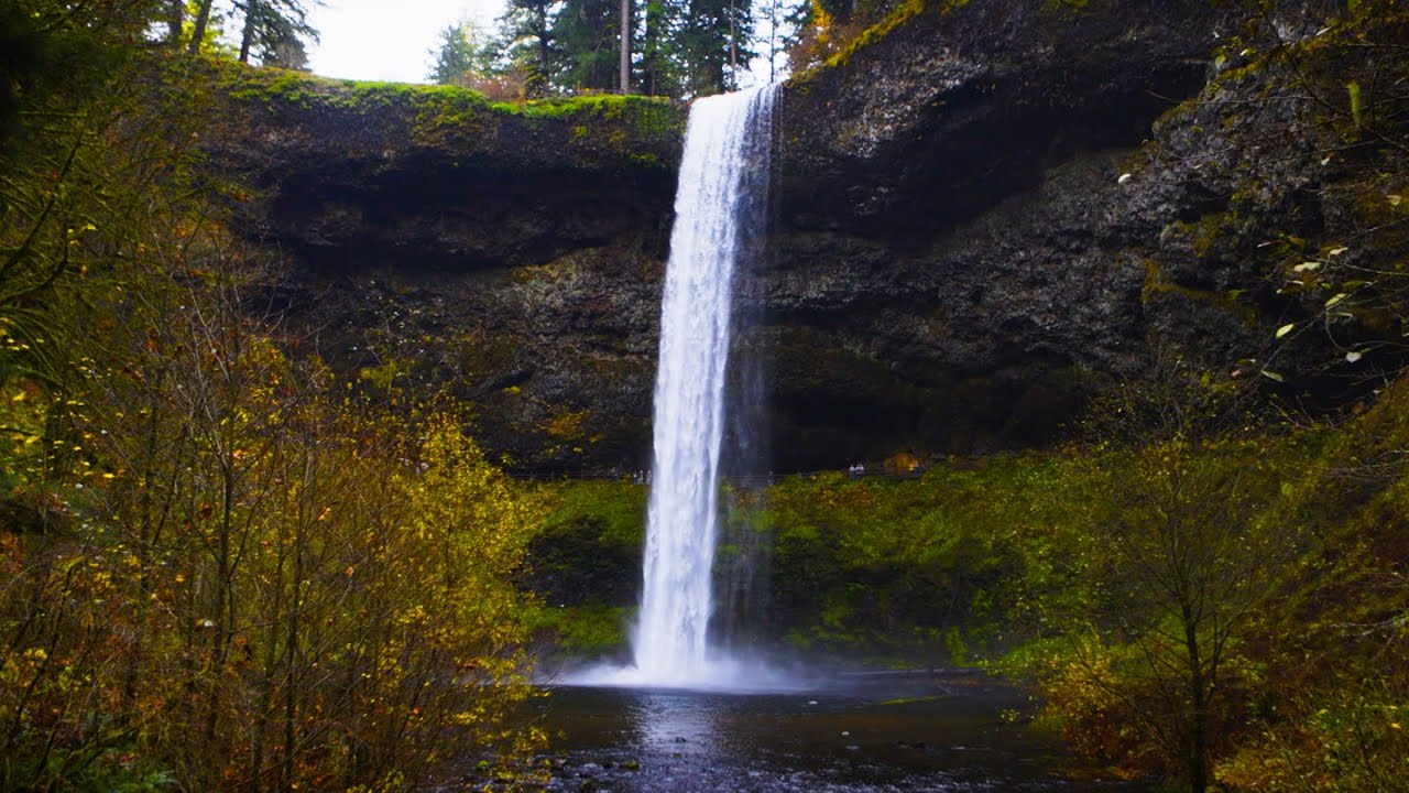 Waterfall Sound at Silver Falls State Park | South Falls | 30 Minute Cinematic Ambient Film