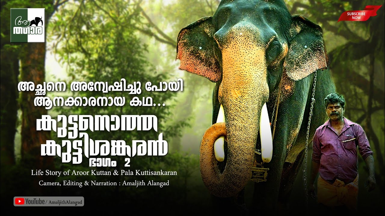 അച്ഛനെ അന്വേഷിച്ചു പോയി ആനക്കാരനായ കഥ... കുട്ടിശങ്കരനും കുട്ടൻ ചേട്ടനും ഭാഗം 2 ...