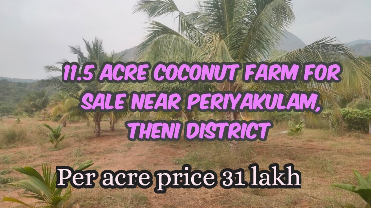 11.5 Acre agriculture land for sale near periyakulam, theni district