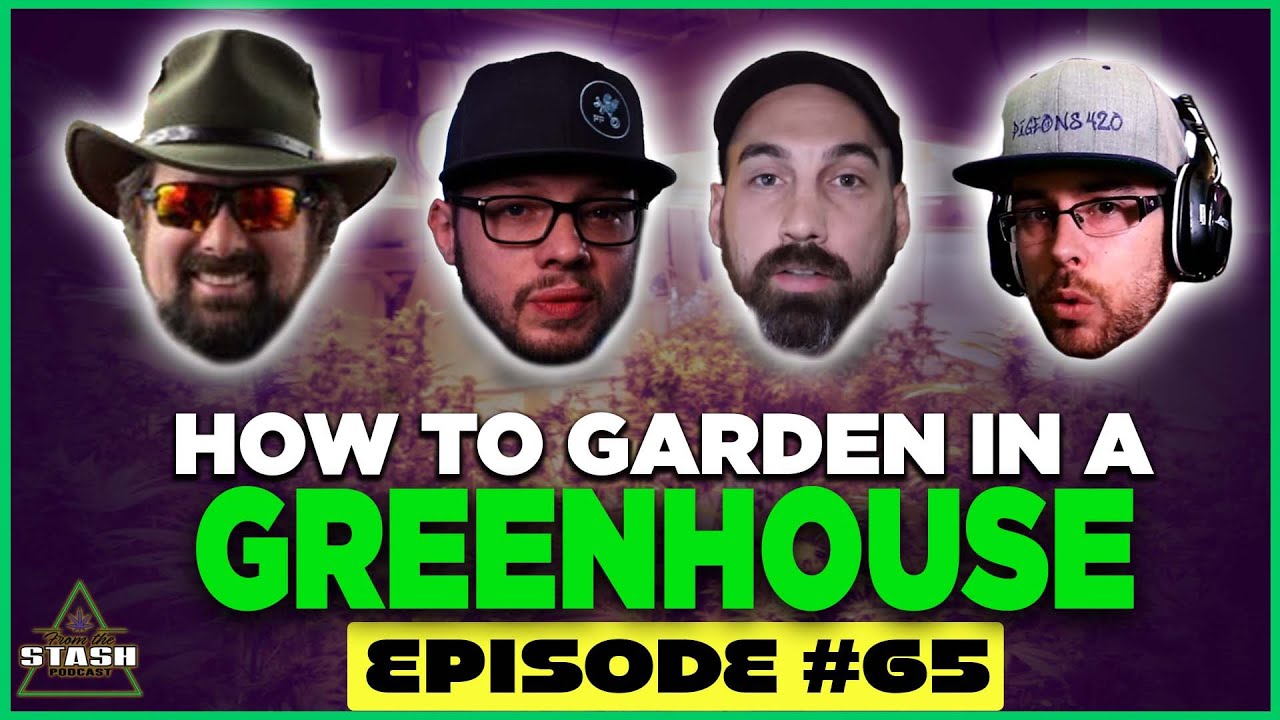 Outdoor Grow Tips For Greenhouse Gardening w/ Dawgo the Hutt - From the Stash Podcast Ep. 65