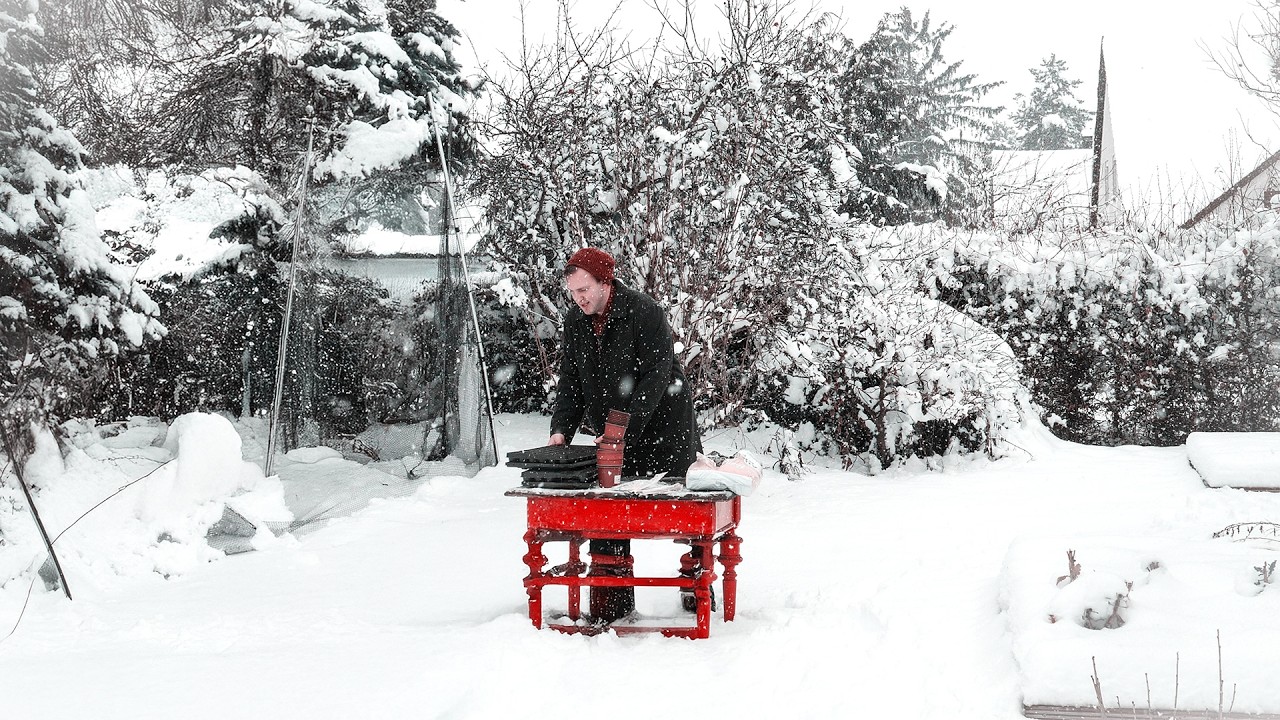 Gärtnern im Schneesturm - Anzucht bei Tiefschnee und -8°C