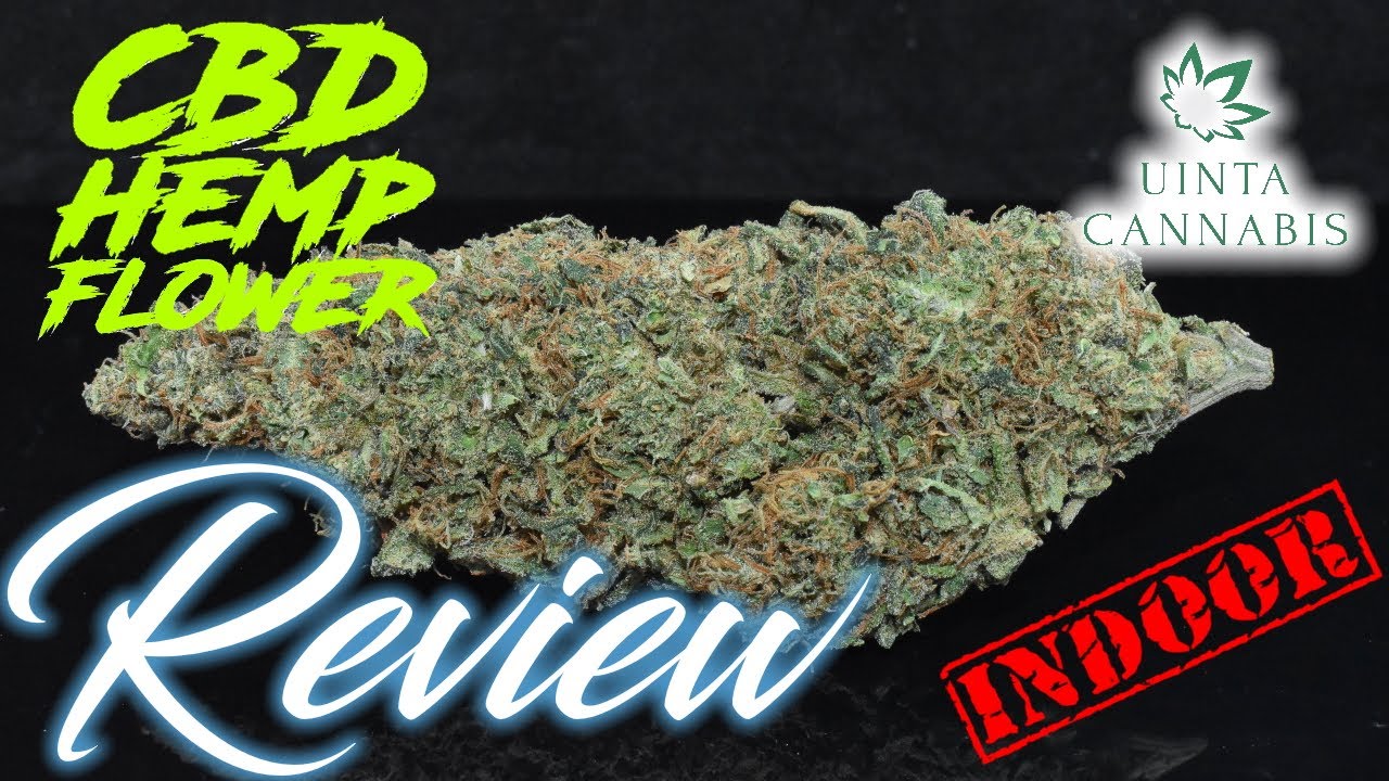 Lets Get Into some Indoor BLUE MINT from Utah | Uinta Cannabis | CBD Hemp Flower Review