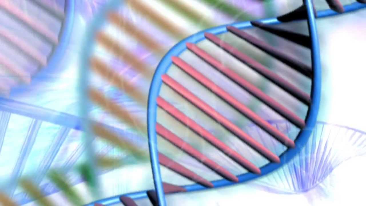 Gene Delivery Tool