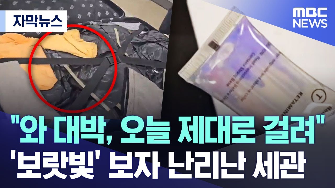[자막뉴스] 