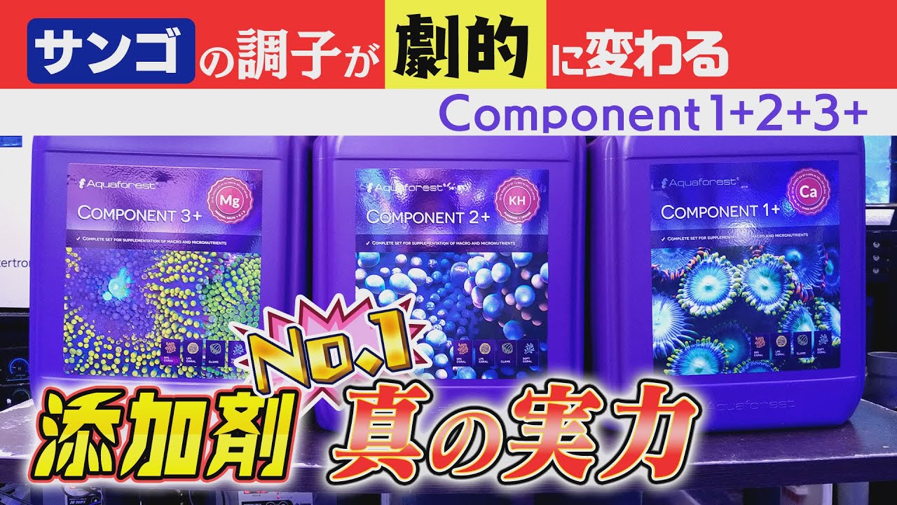 使いやすさ 実力も “最強” 添加剤 Aquaforest 《サンゴ水槽》【2023年11月号 vol.4】