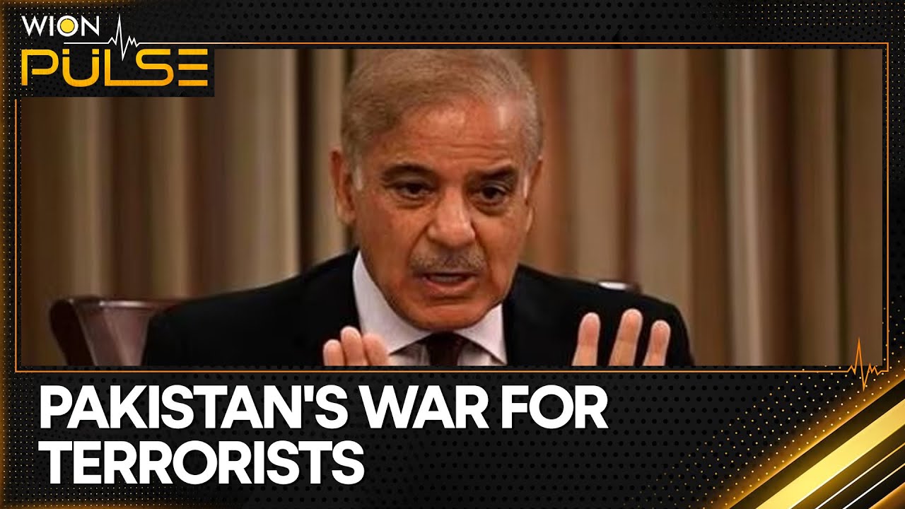 Pakistan Army Protects Non-State Actors, Terror Politics Exposed | WION Pulse