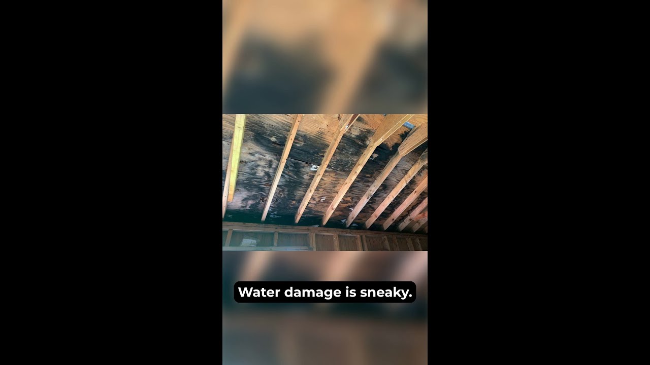 10 Hidden Water Damage Warning Signs Homeowners Often Miss