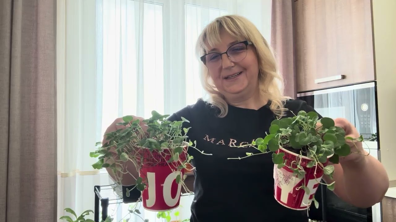 Рассада 2026,растёт и радует 👍👍👍ставить некуда 😉