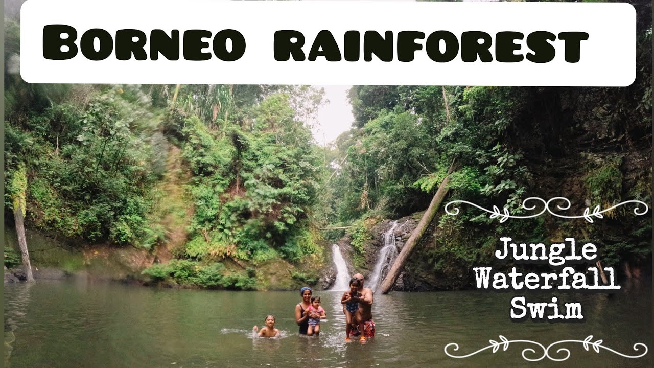 Wild Borneo Adventure 🌿 | Orangutans & Jungle Waterfall Swim, Tabin Forest