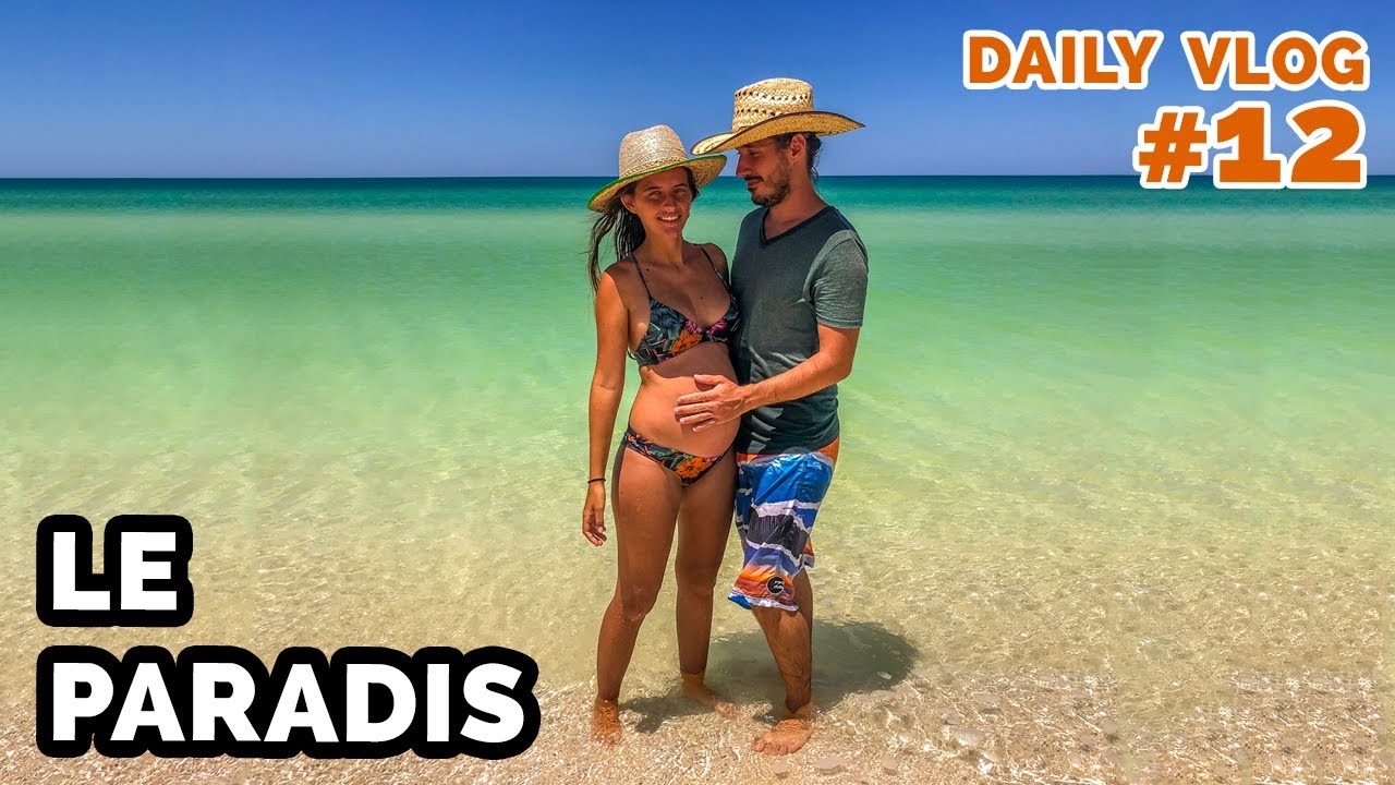 #55 FOU RIRE 😂 ON SE FAIT CROQUER DANS LA MER ! 🦈🐟🐠 (Daily Vlog 12) - VANLIFE | The Vagabonds