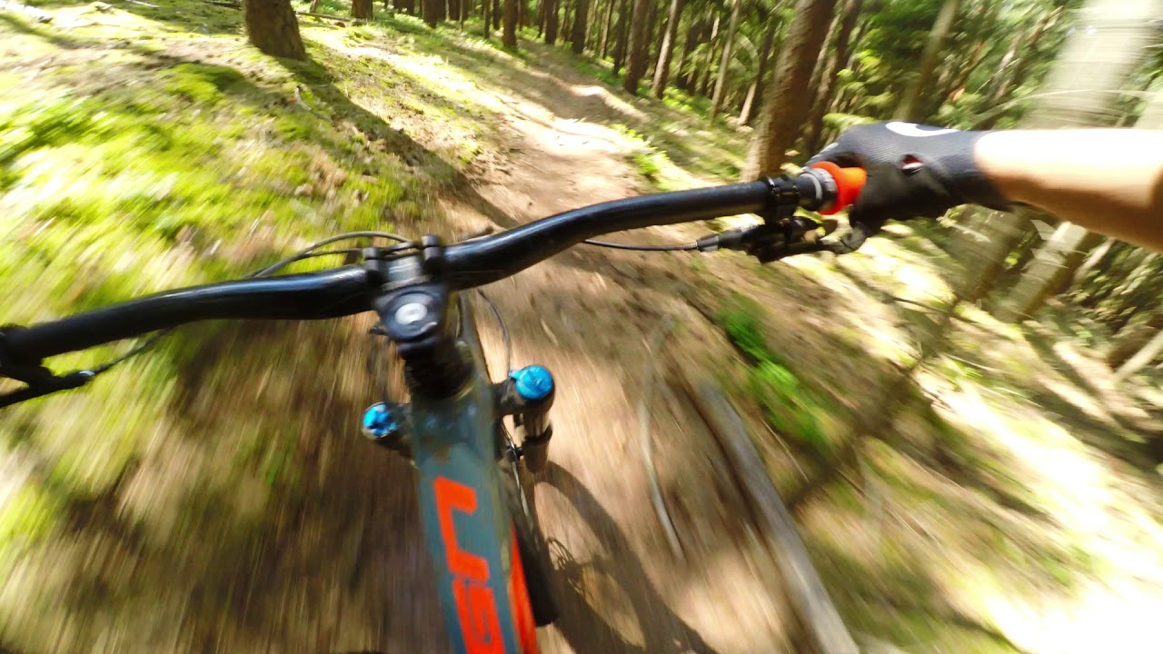 Schönste Trails im Seenland?! Downhilltrails im Arbachtal bei Pleinfeld