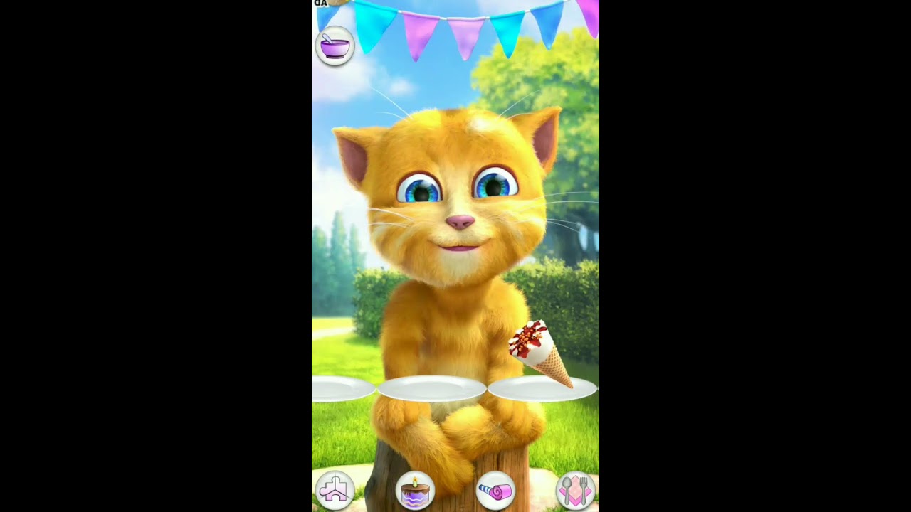 Talking Ginger Live Streaming