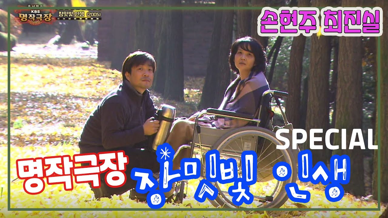 명작극장 장밋빛인생 SPECIAL / 극본 문영남 ㅣ 최진실 손현주 나문희 [추억의 영상] KBS 방송
