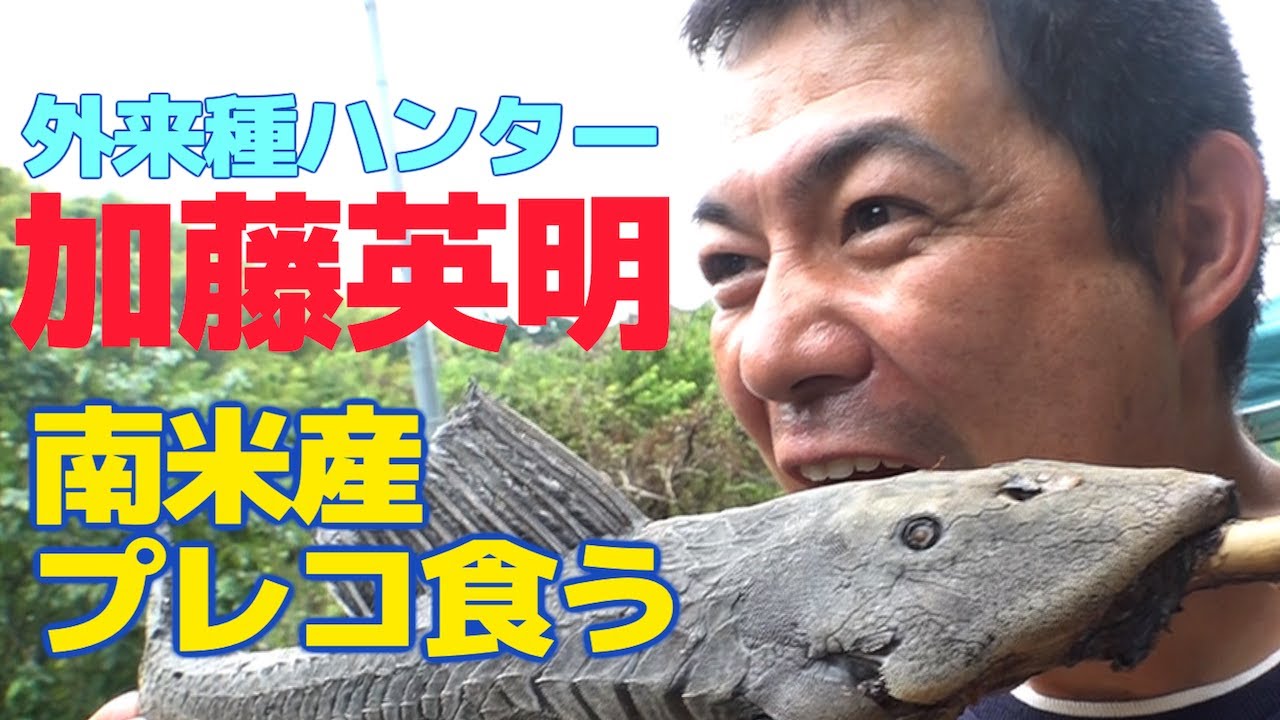 4.外来種ハンター加藤英明【グロい魚】を丸焼きにして食べてみた！