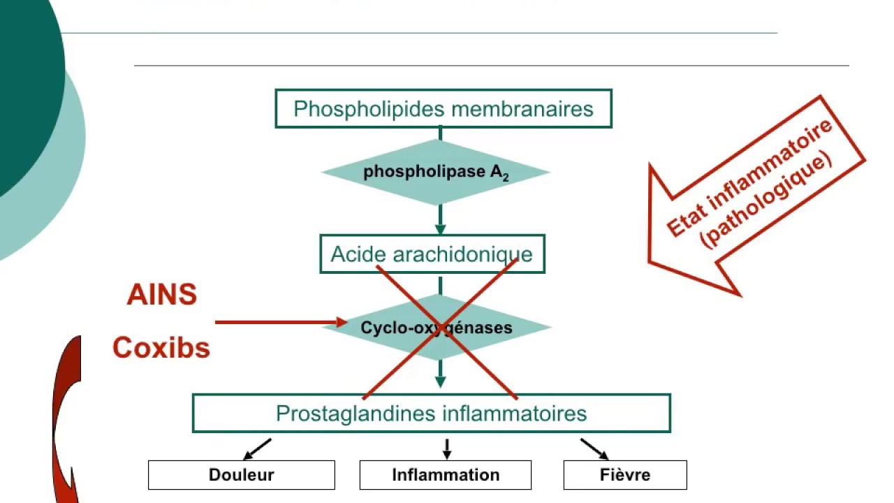 Pharmacologie des AINS et des corticoïdes_Cours commenté