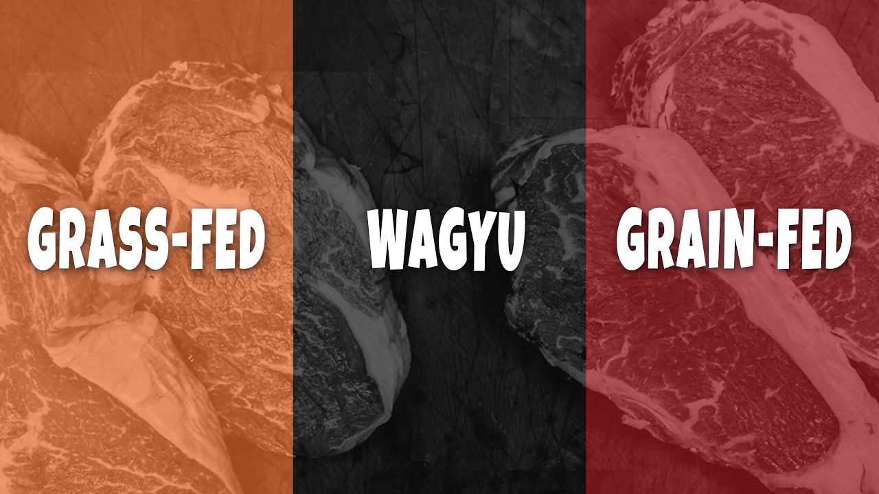Grass-Fed vs Wagyu vs Grain-Fed &ndash; The Real Difference No One Explains