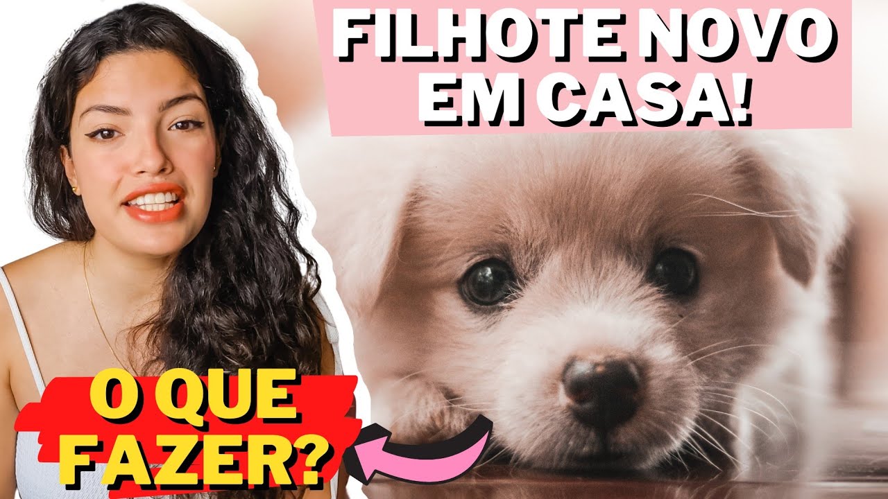 🐶O que fazer para adaptar FILHOTE ao novo lar?🏠
