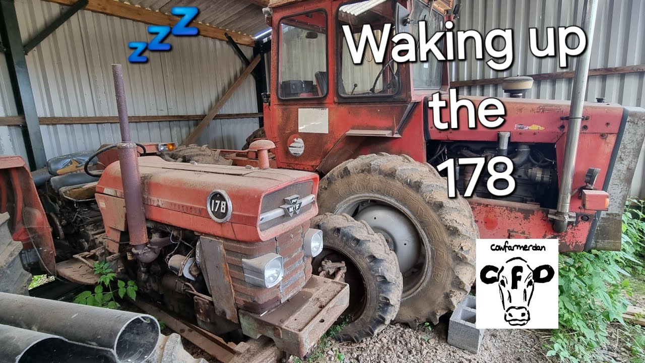 Vintage Thursday. Massey Ferguson 178 comes out of hibernation.