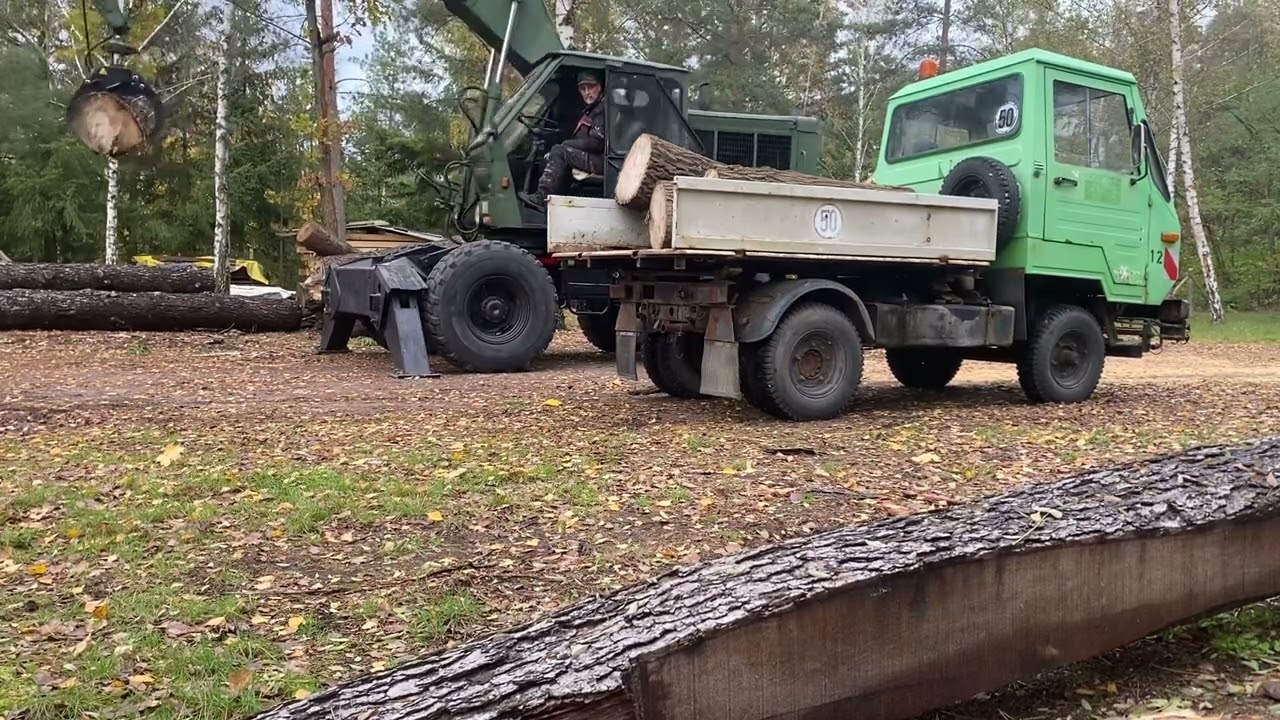 T 174/2 und Multicar M25