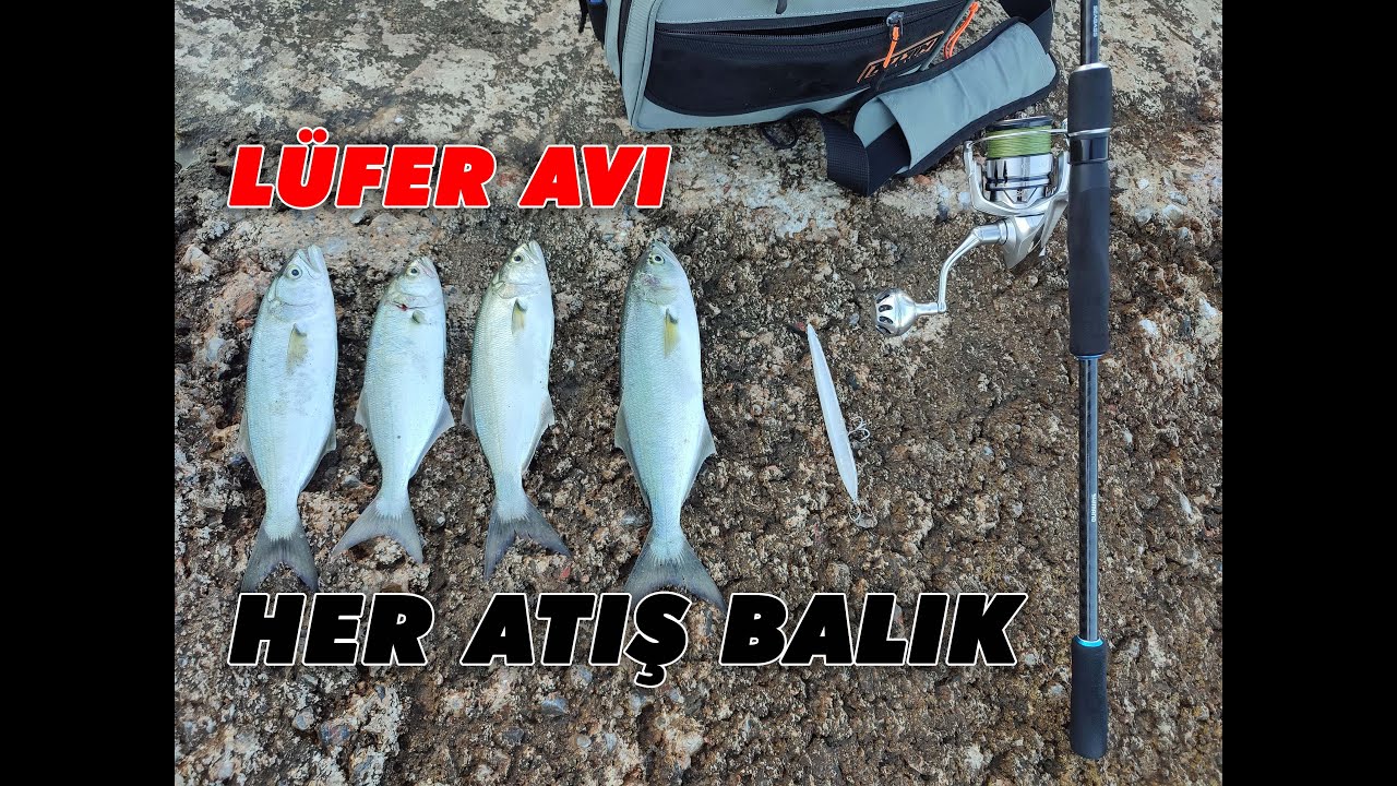 Alanya'da Su Üstü ile Lüfer Avı! FARKLI ZAMANLARDA YAPTIĞIM AV | VARSA ALIRIZ!!!