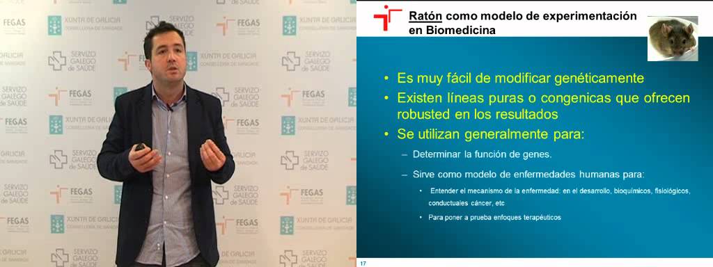 La importancia de los Modelos Animales en Investigación Biomédica