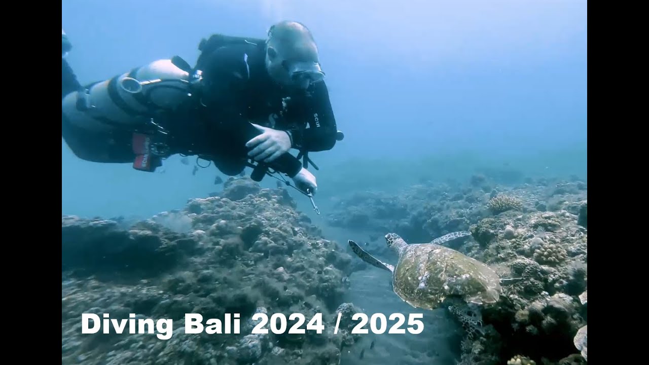 Diving Bali Part III - (The Iphone Test)