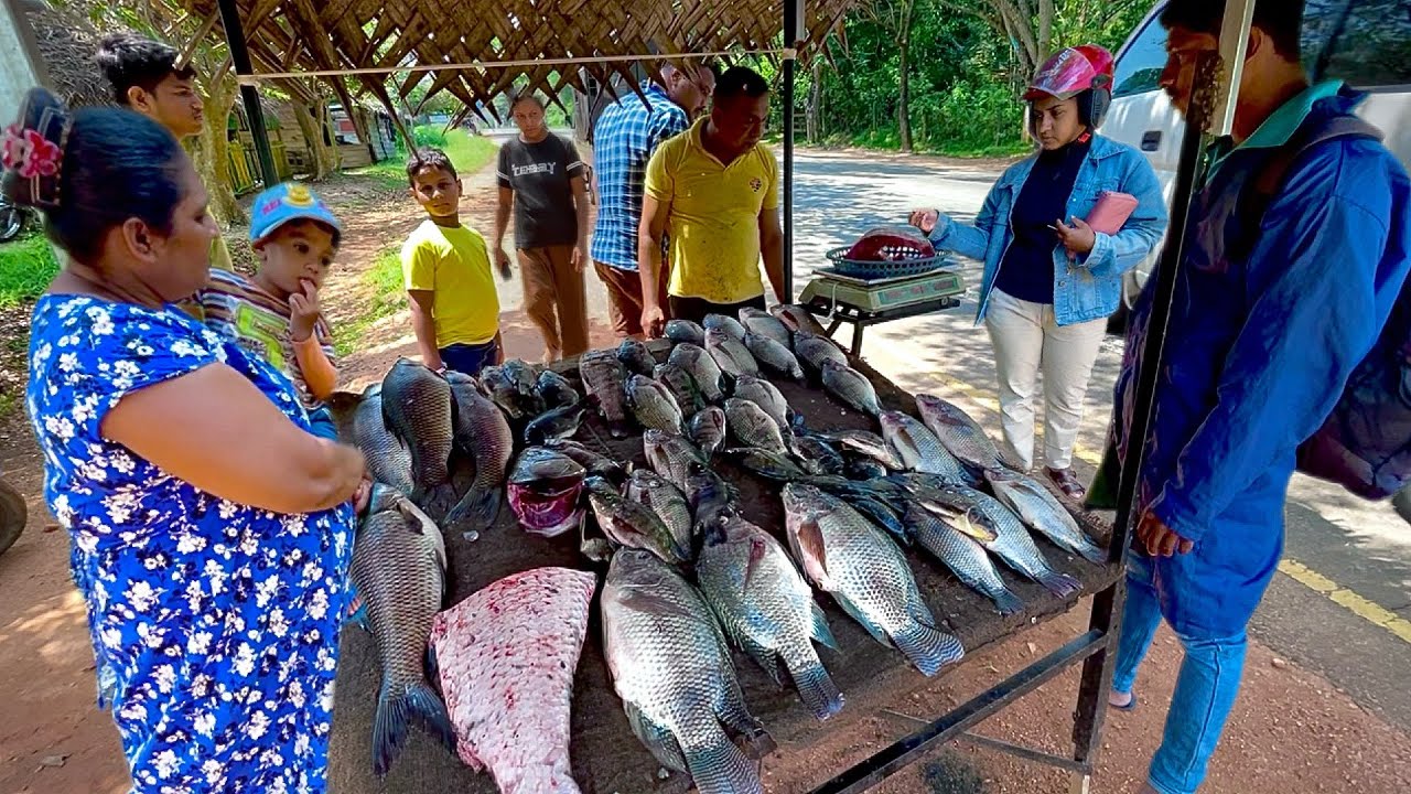 Wow !! Village Style Fish Cutting Secret Of Bustling Street market