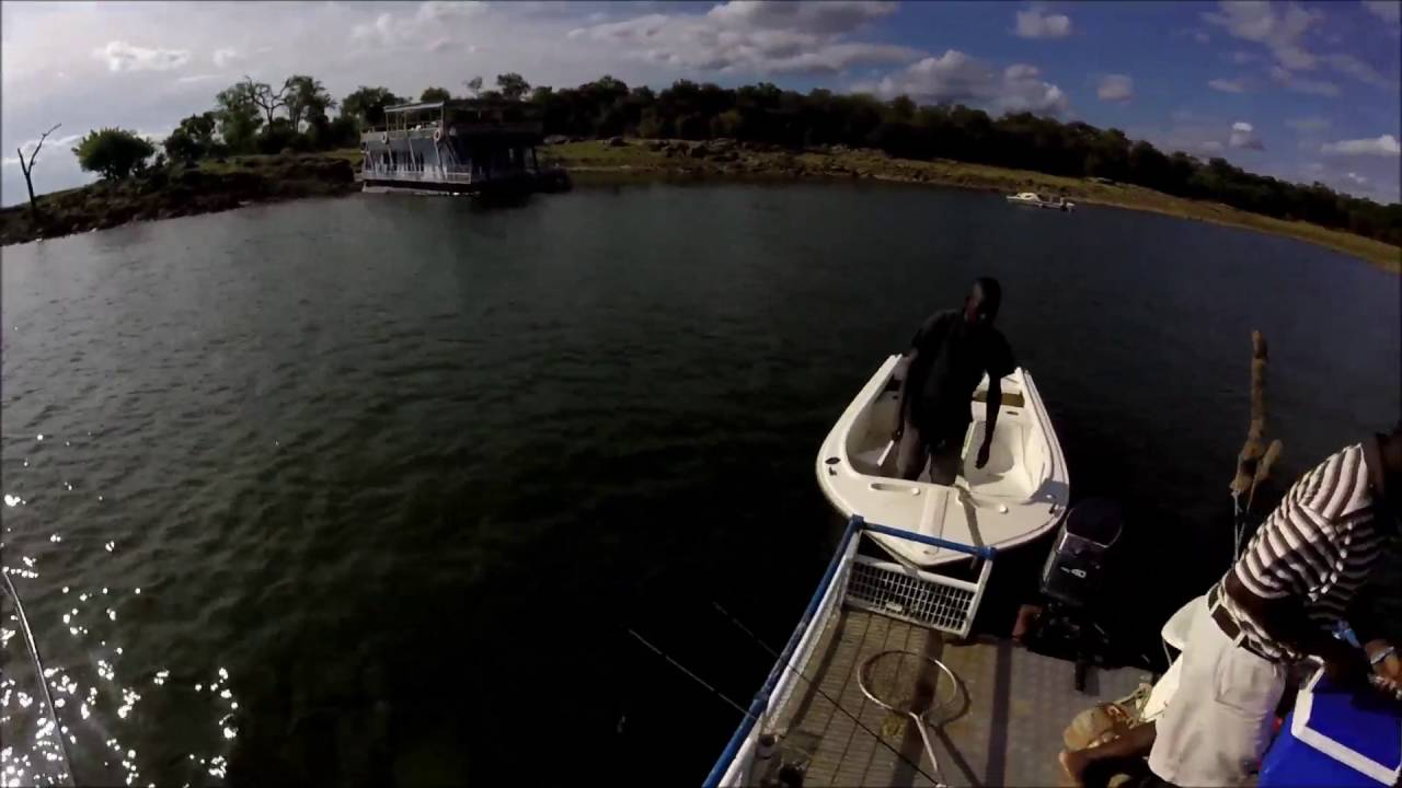 Kariba 30kg Vundu (Catfish)