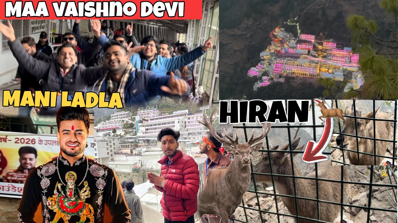MAA VAISHNO DEVI YATRA 2026 Mani Ladla 😍￼ Hiran 🦌￼￼