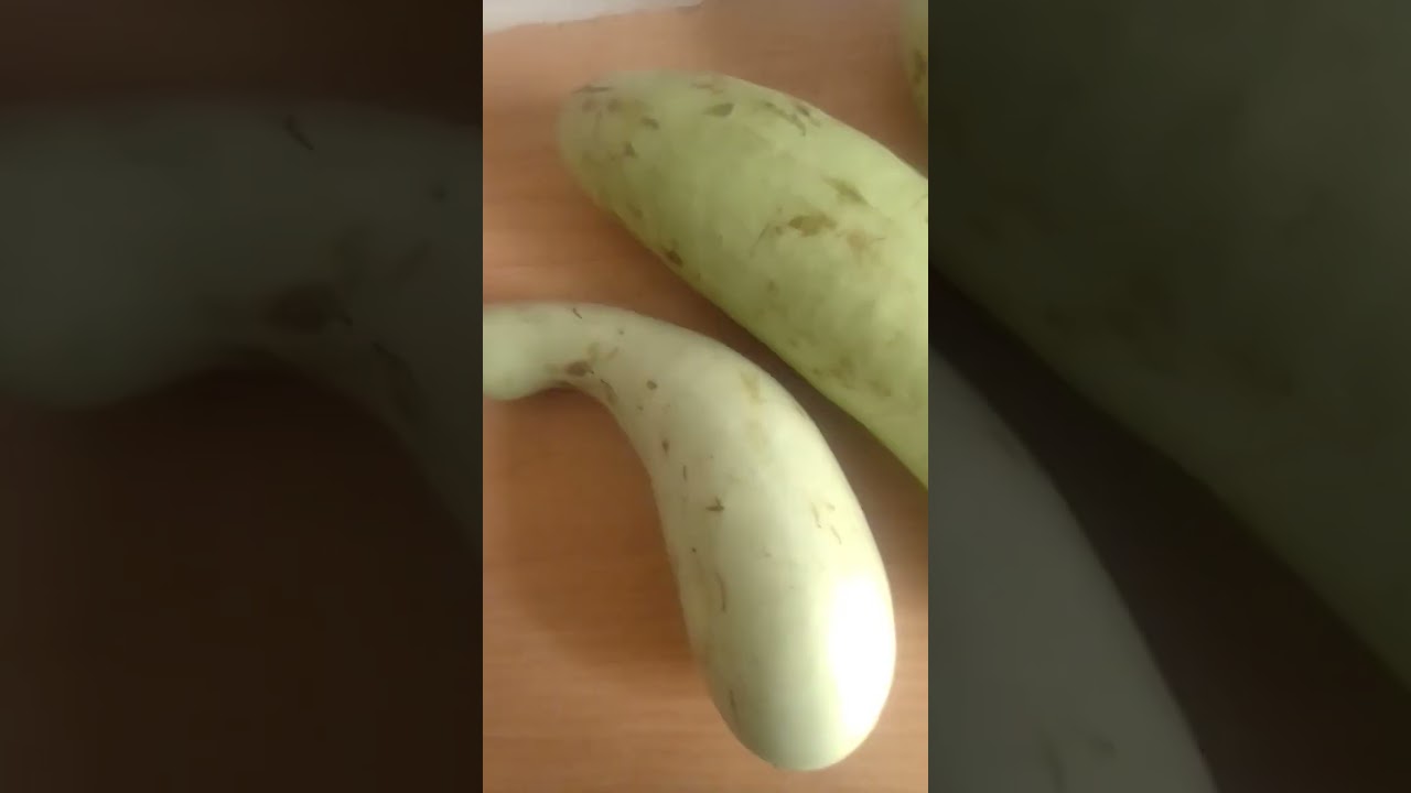 فوائد اليقطين الاخضر أو سلاوية