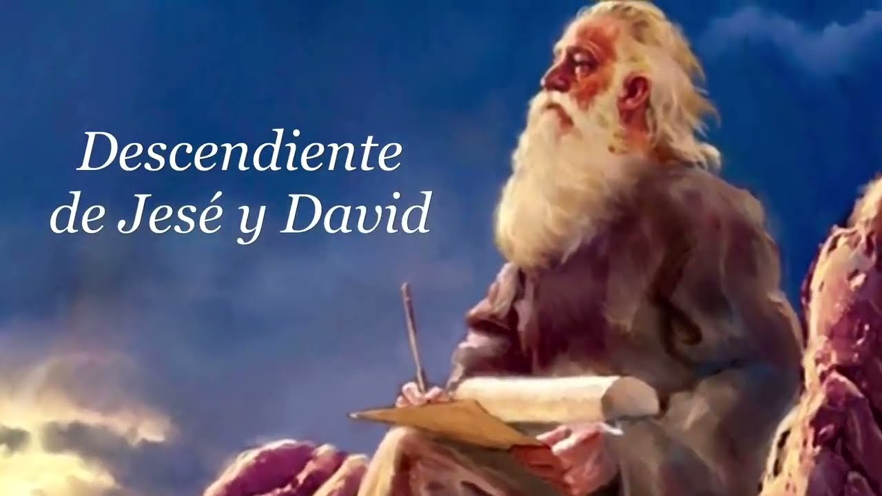 El Árbol de Navidad y su sentido Cristiano.