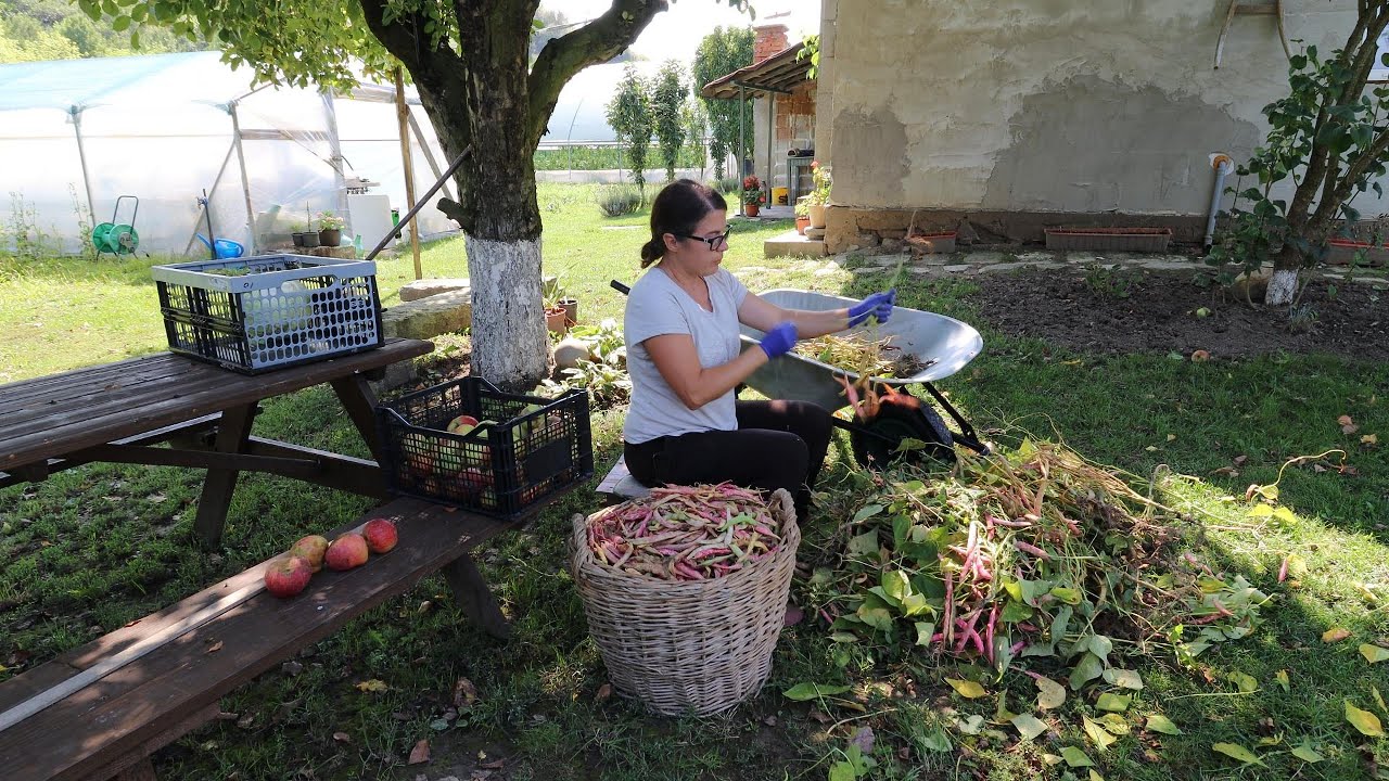 Încet, încet, grădina se goleşte…🍂