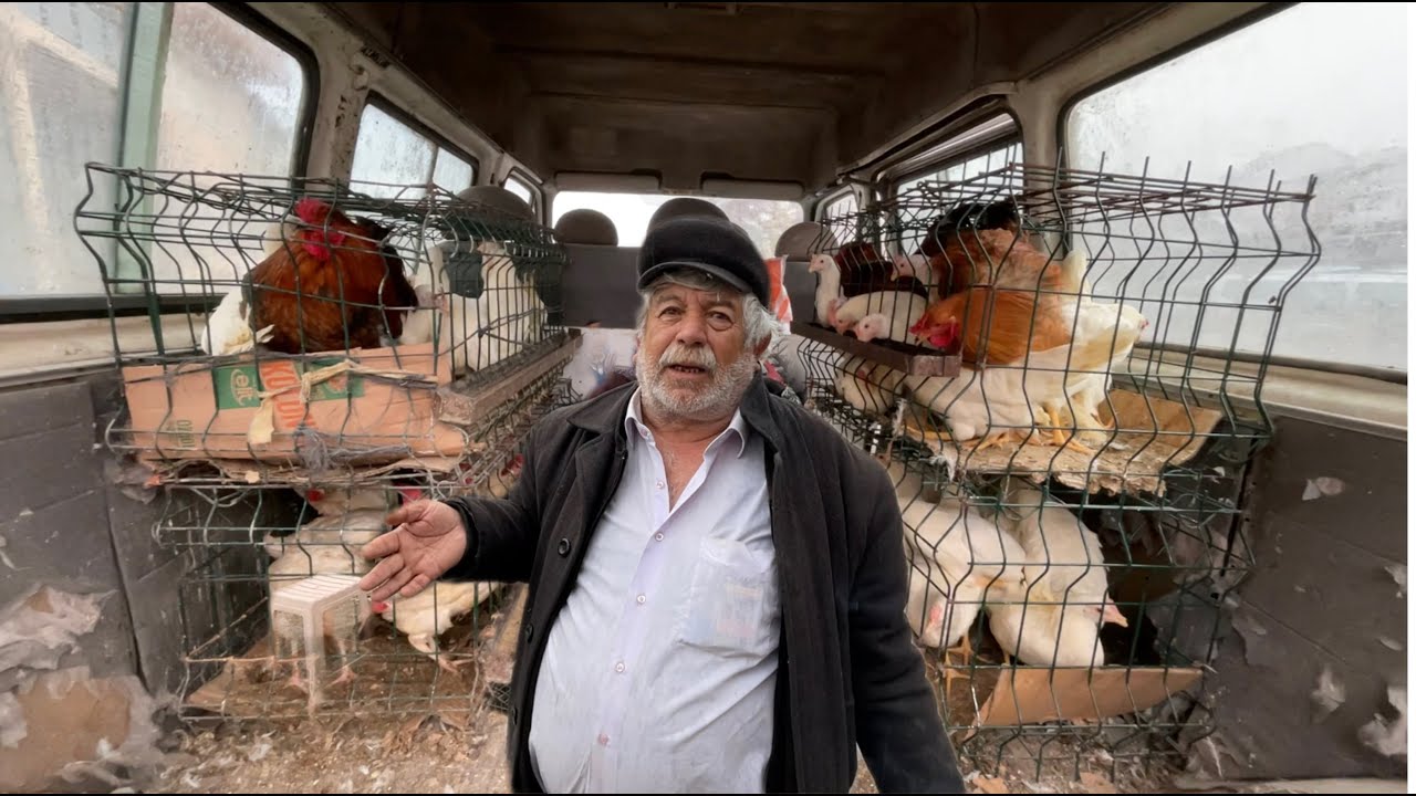 ALAN DA PİŞMAN! SATAN DA PİŞMAN! EKONOMİK KRİZ TAVUK PAZARINIDA VURDU! #tavukpazarı #tavukfiyatları