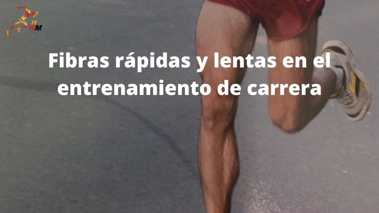 Fibras rápidas y fibras lentas en entrenamiento de carrera