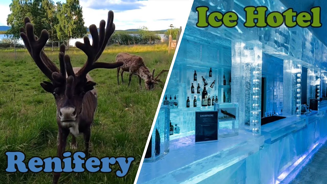 Co zobaczyć w Laponii? Kiruna & Jukkasj&auml;rvi | RENIFERY, ICE HOTEL