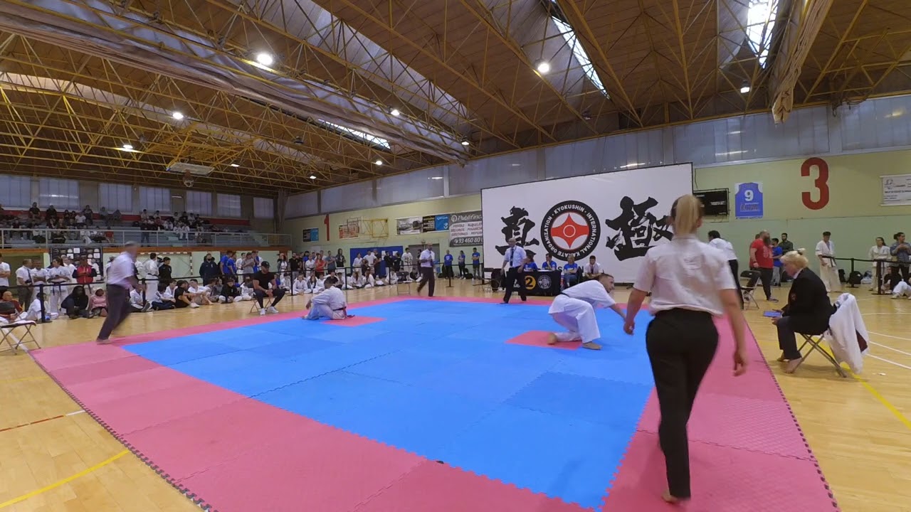 Spanish Open IKO1 Kyokushin Karate Hargas Kamel (FRA) vs Lorant Berki (HUN)