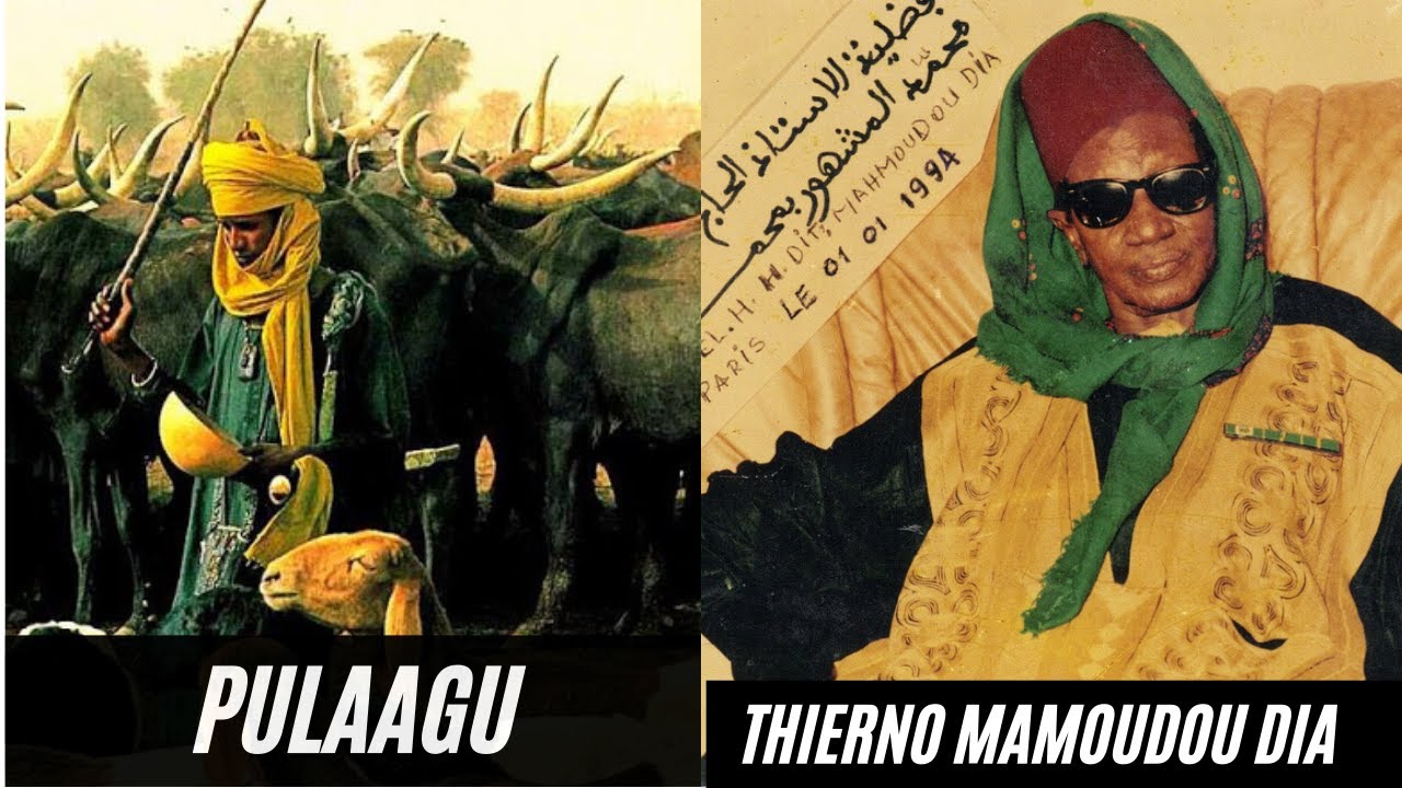 Thierno Mamoudou Dia - Pulaagu