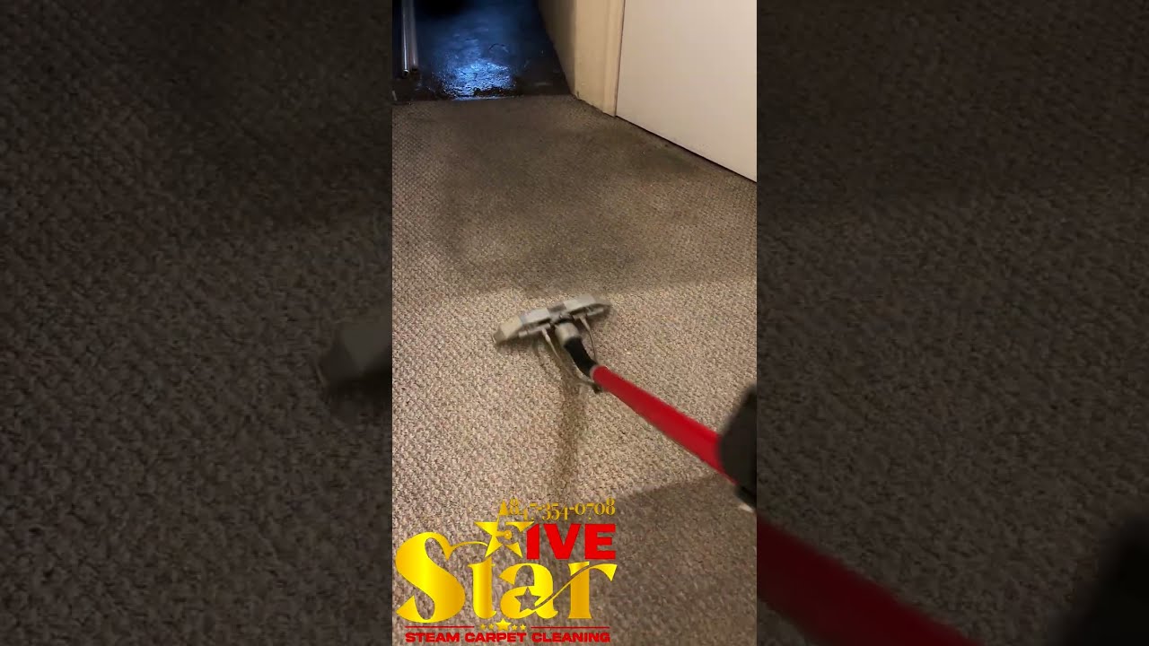 extremely dirty carpet we always try our best to steam clean carpet