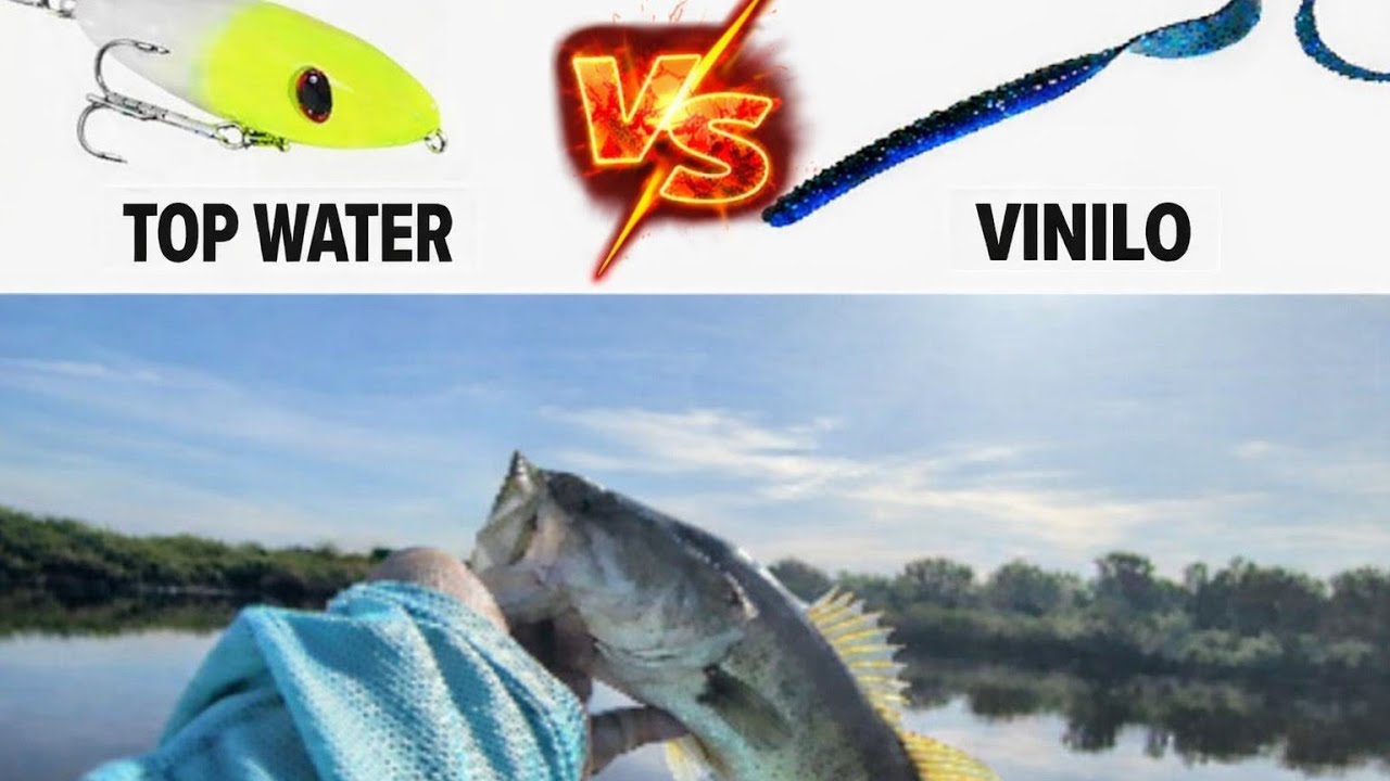 TOP WATER PASEANTE  VS VINILO