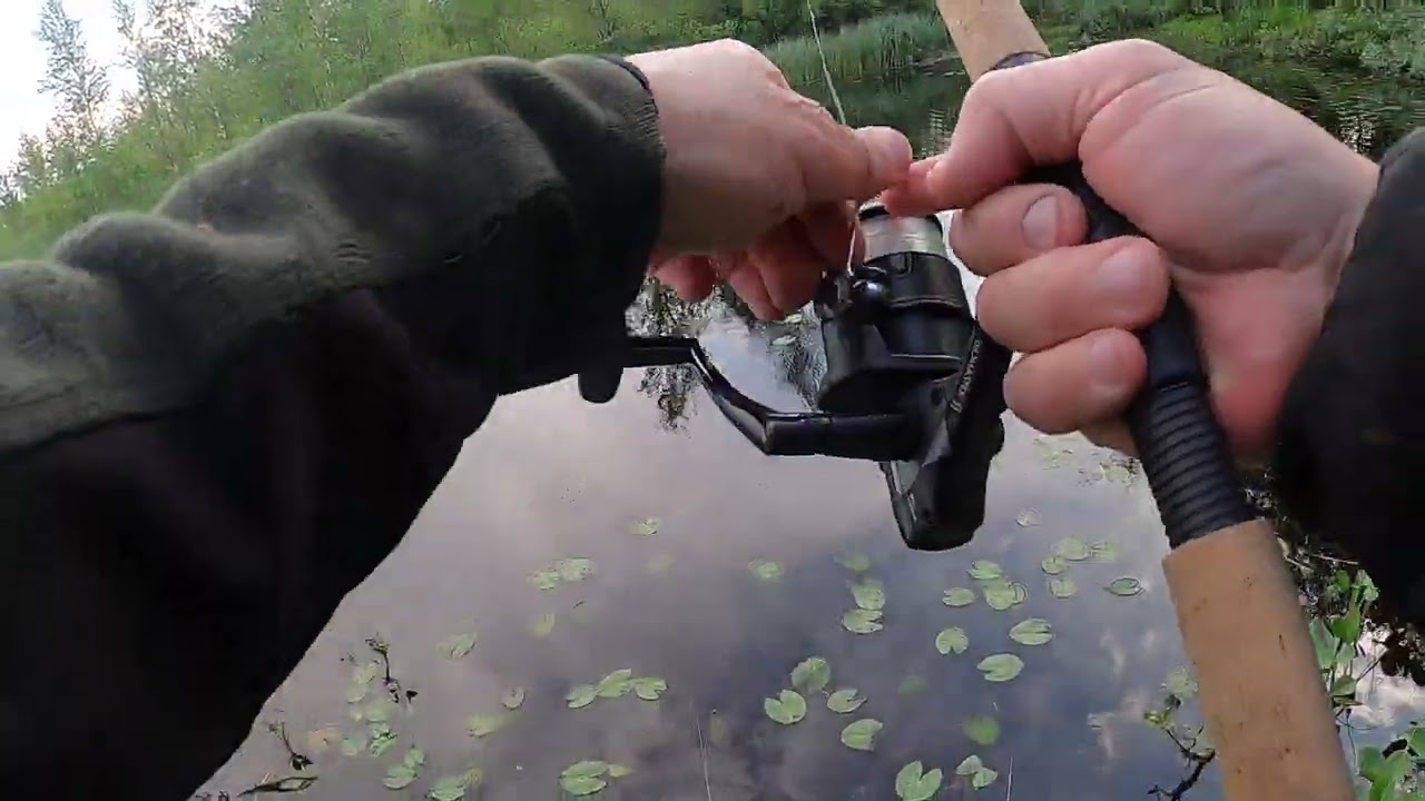 Tuff fight ! Med en 100 cm stor gammelg&auml;dda !