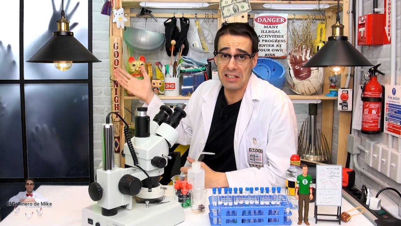 ¿Es real la ventana de Curiosidades con Mike? | El Gallinero de Mike