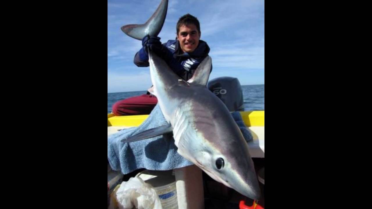 Ep  11 Graeme Pullen, Sharks