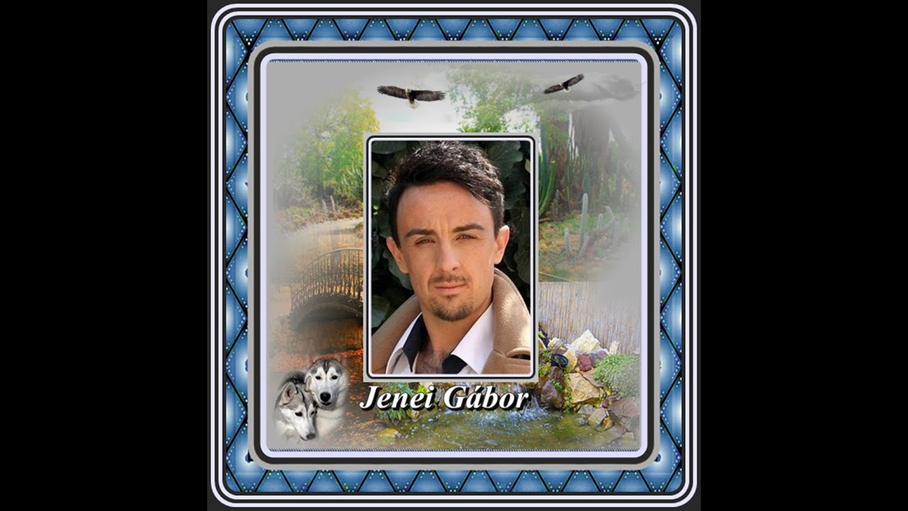 Jenei Gábor : A zenének csókját (Amikor a cigány húzza)