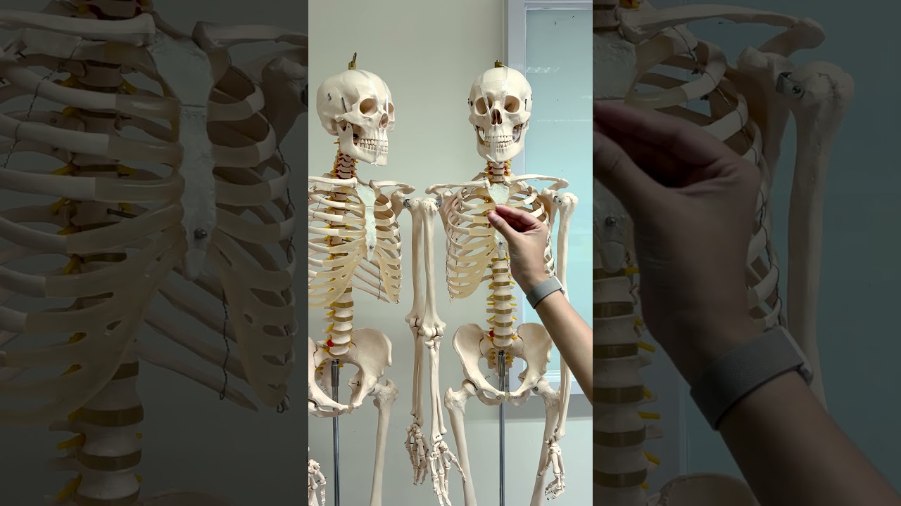 OLFU College of Medical Laboratory Science Facility Feature