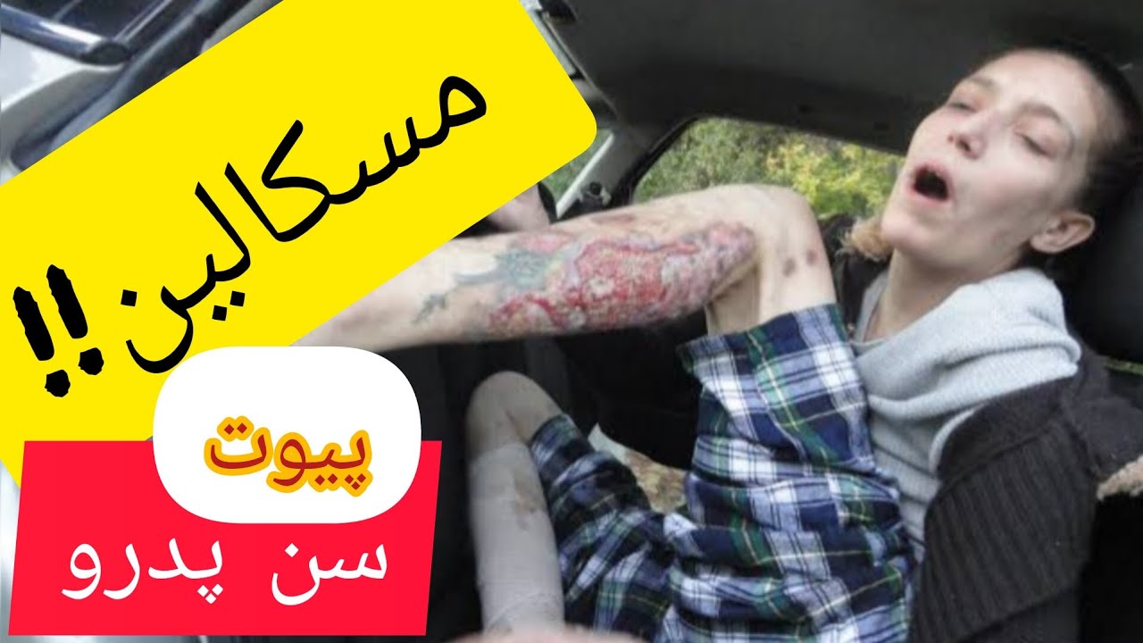 کاکتوس و مسکالین!